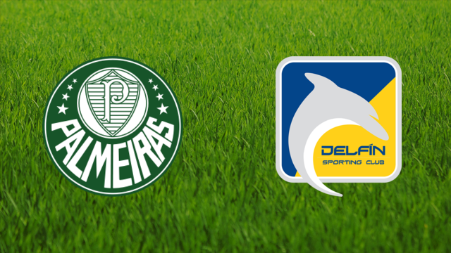 SE Palmeiras vs. Delfín SC 