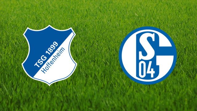 TSG Hoffenheim vs. Schalke 04
