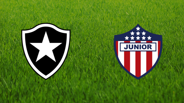 Botafogo FR vs. CA Junior