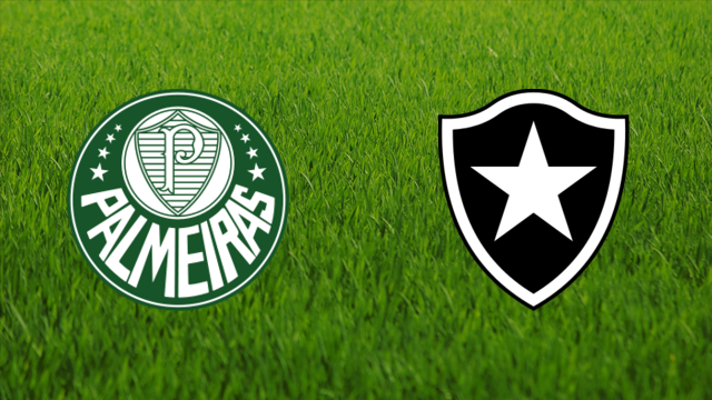 SE Palmeiras vs. Botafogo FR