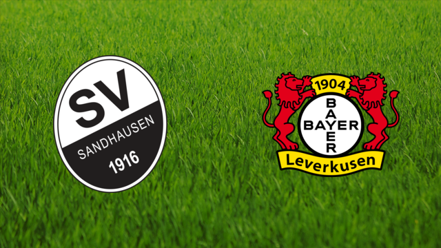 SV Sandhausen vs. Bayer Leverkusen