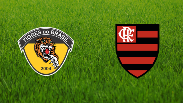 Tigres do Brasil vs. CR Flamengo