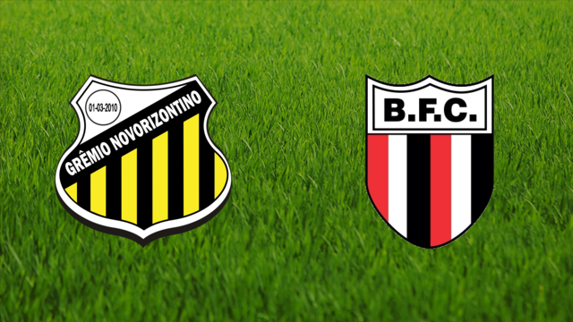 Grêmio Novorizontino (2010) vs. Botafogo - SP