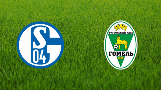 Schalke 04 vs. FK Homel