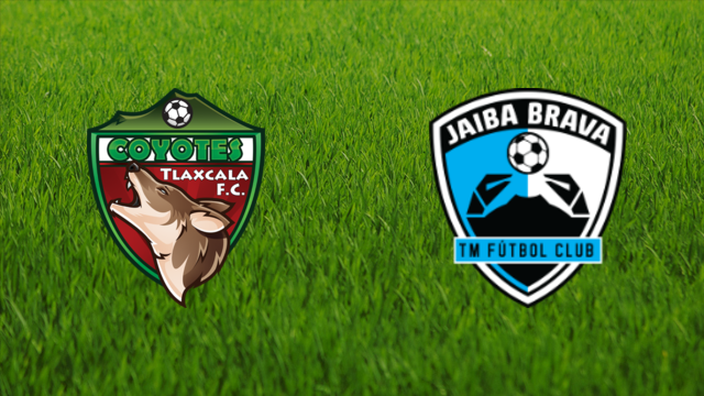 Tlaxcala FC vs. Tampico Madero
