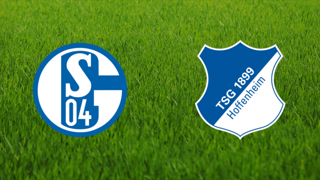 Schalke 04 vs. TSG Hoffenheim