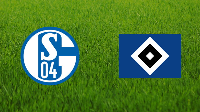Schalke 04 vs. Hamburger SV