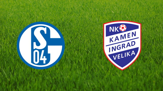 Schalke 04 vs. Kamen Ingrad