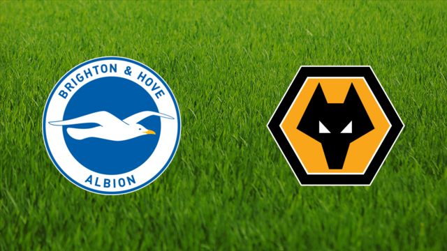 Brighton & Hove Albion vs. Wolverhampton Wanderers
