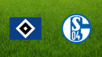 Hamburger SV vs. Schalke 04